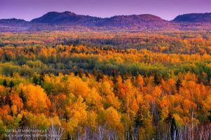 Témiscamingue fall colours tour photo by Mathieu Dupuis