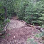 The central trail at Farr Island. There is also a trail all around. / Le sentier central de l'île Farr. Il y a également un sentier autour de l'île.