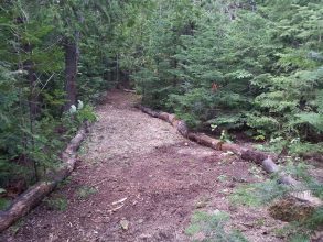 The central trail at Farr Island. There is also a trail all around. / Le sentier central de l'île Farr. Il y a également un sentier autour de l'île.