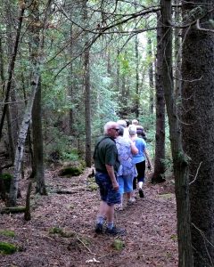 Group hiking Farr Island. The trip around the island is a nice walk for people of all ages. / Un groupe en randonnée dans les sentiers de l'île Farr.