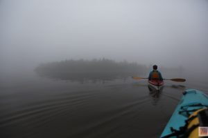 Kayaking to Farr Island on a foggy morning / En kayak vers l'île Farr par un matin brumeux