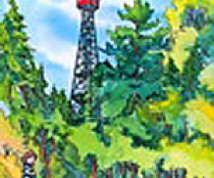 Temagami Fire Tower Hiking Trail - A giclée print by Laura Landers