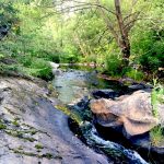 Mill Creek in Haileybury