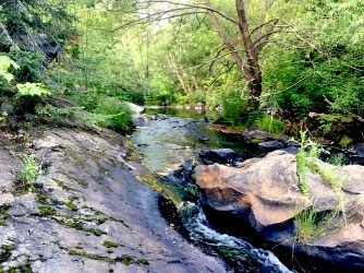 Mill Creek in Haileybury