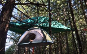 Matching Tentsile birdhouse on Farr Island