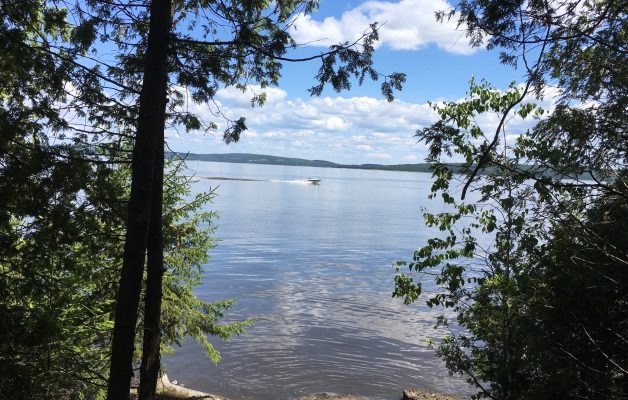 Great view of Lake Temiskaming from your Tentsile on Farr Island