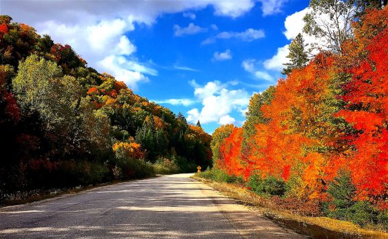 Beautiful fall colours along highway 533 between Mattawa and Témiskaming during our tour around the lake. / Magnifiques couleurs d'automne le long de la route 533 entre Mattawa et Témiskaming pendant notre voyage autour du lac.