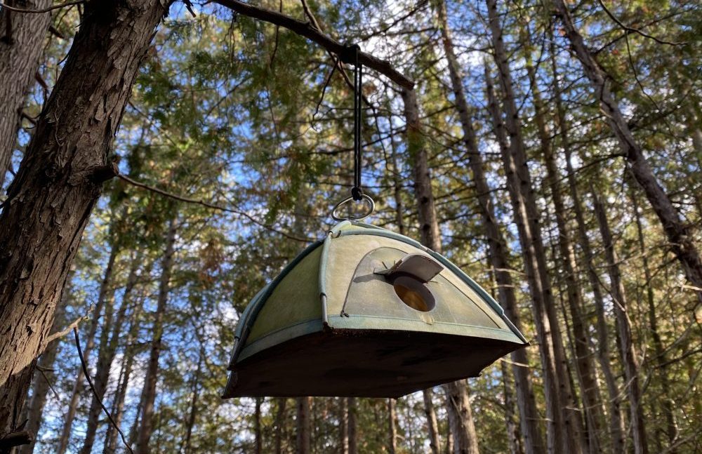 Discover the birdhouse while glamping on Farr ISland