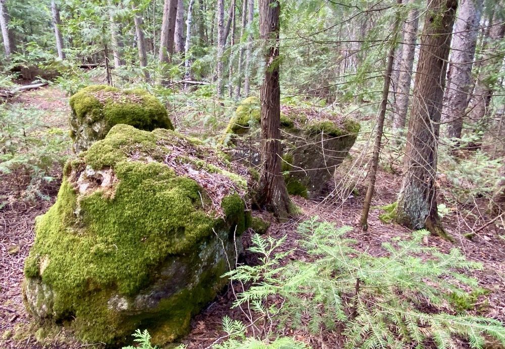 Discover the geology of Farr Island while glamping