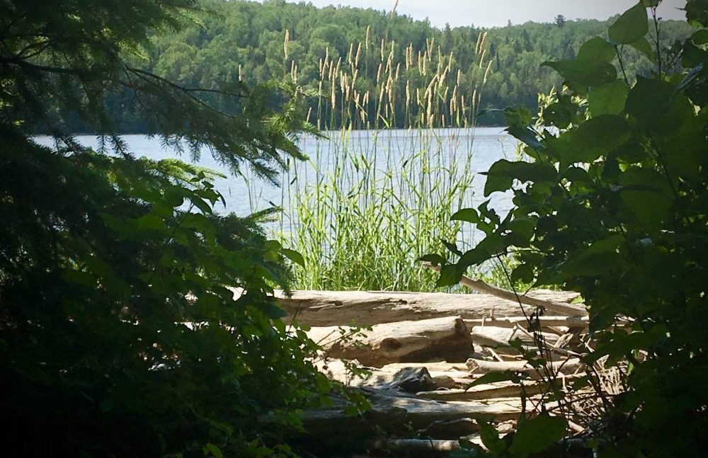 Natural views while glamping on Farr Island