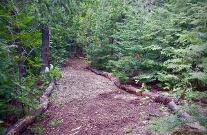 Trail on Farr Island